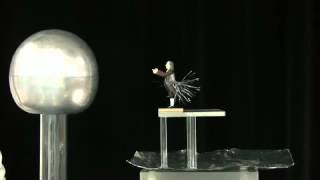 MIT Physics Demo Faraday's Cage