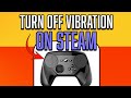 FULL GUIDE | TURN OFF CONTROLLER VIBRATION ON STEAM PC - YouTube
