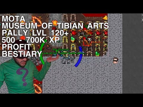Tibia - Pally lvl 120+ MOTA - Museum of Tibian Arts - 500k+XP - PROFIT