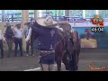 Xxvi campeonato millonario tequila hacienda vieja 2023 final aaa