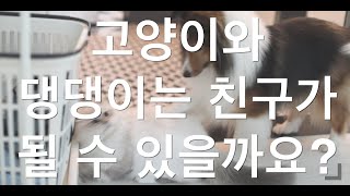 마카롱티비 Episode#03 내친구가되어줄래?