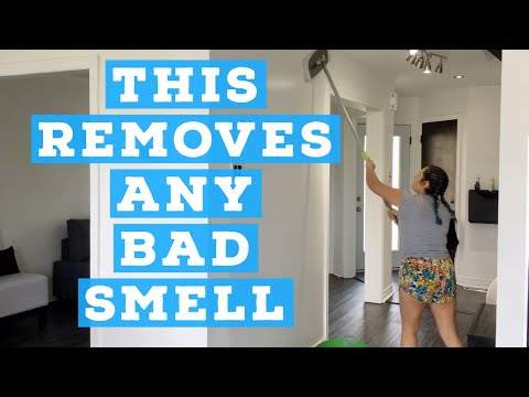 HOW TO CLEAN WALLS / HOW TO REMOVE BAD SMELL IN THE HOUSE