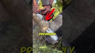 Why Rangers Are Poisoning Rhino Horns shorts