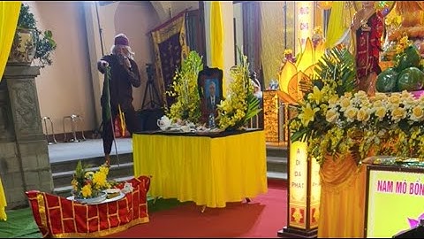 chèo đò hay quá cả nhà ơi