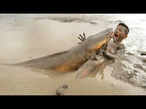 WOWW !!! IKAN INI😯 - Menangkap IKAN LELE dengan Tangan Kosong di Danau Kering