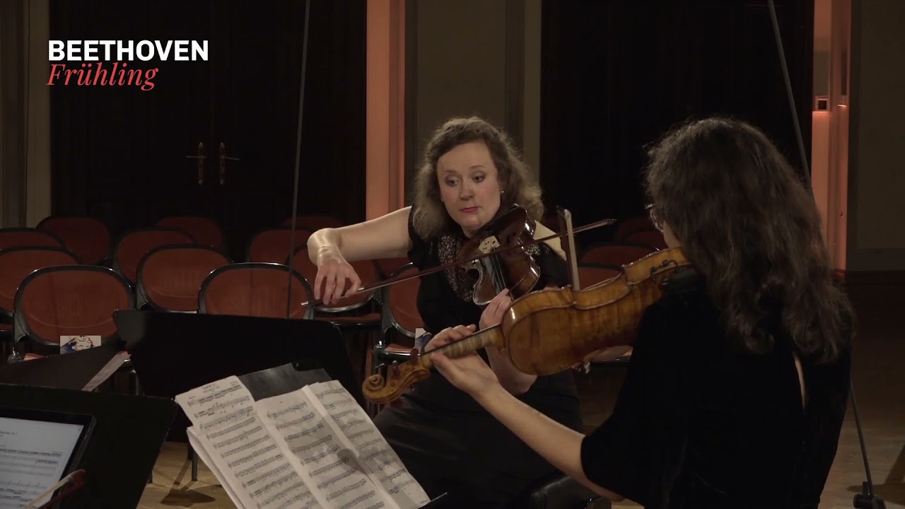 Schubert 'Quartettsatz', D 703 | Chaos String Quartet