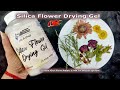Drying Flowers with Silica Gel: The Ultimate Guide for Preserving Floral Beauty | JK Arts 1998