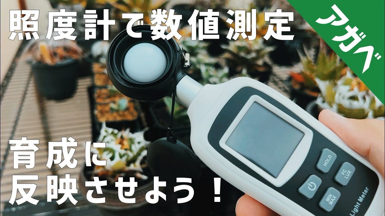 デジタル照度計買って色んな場所を測定してみた！