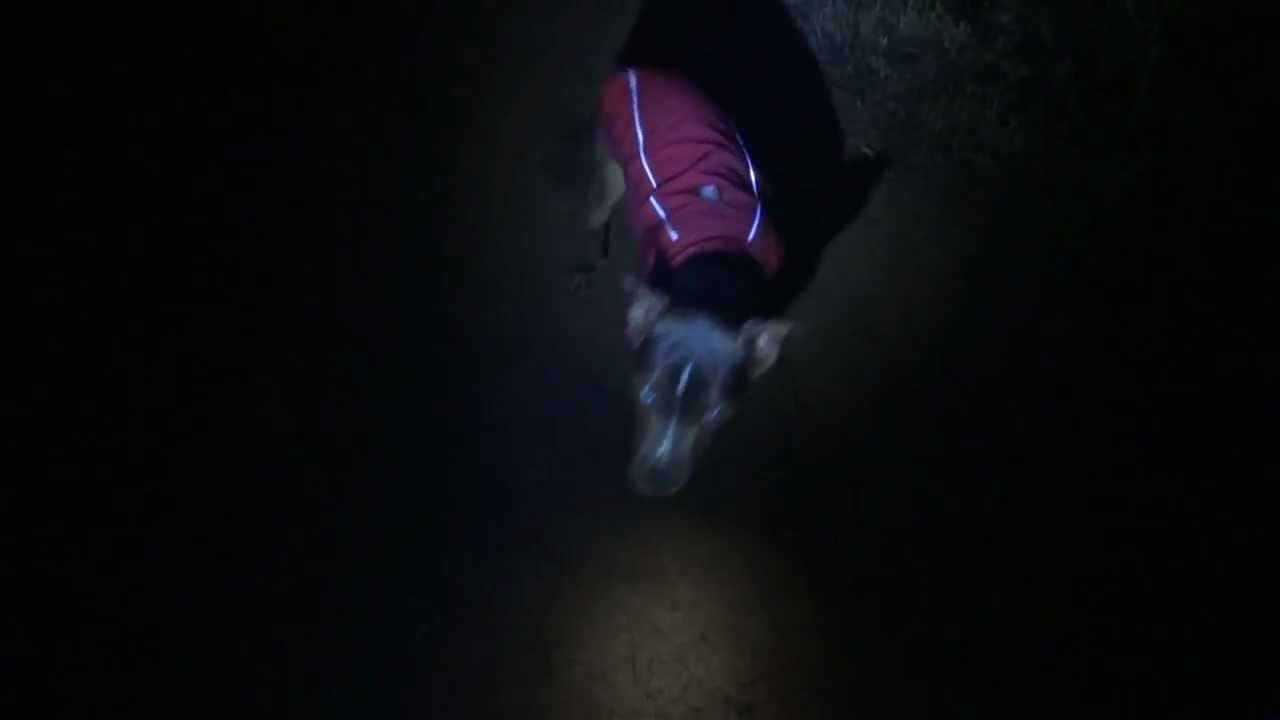 El Cajon Mountain with Ela at Night in a Rain Storm YouTube