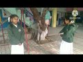 ADARASH BHARTIYA PUBLIC SCHOOL #Knowaboutplants
