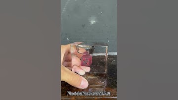 RHCC vs ice 🧊 #Satisfying #Screamin #Sounds #ICE #RHCC #ASMR