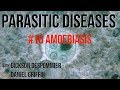 Parasitic Diseases Lectures #16: Amoebiasis