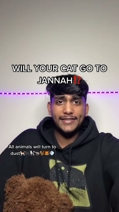 Will cats go to Jannah? #islamicreminder #islamicvideo #muslimmemes #islam #hijab