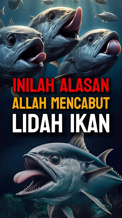 Ternyata Ini Alasan Allah SWT Mencabut Lidah Ikan #feedshorts