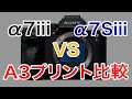 118 SONY α7Siiiとα7iiiのA3プリントを比較したらまさかの結果に！？