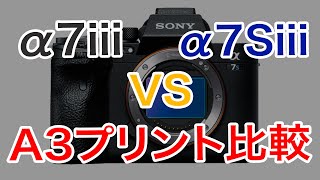 118 SONY α7Siiiとα7iiiのA3プリントを比較したらまさかの結果に！？