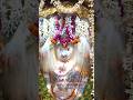 Jai Hanuman 🚩 #shortvideo #mahadev #jaishreekrishna #jaishriram