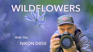 Achieve Stunning Wildflower Shots with These Expert Tricks