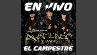 Video thumbnail of "Alameños de la Sierra - Perfecta"