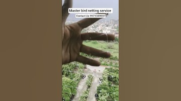 Polycarbonate Net installation in Noida amazing Fitting with master bird netting 9971349037