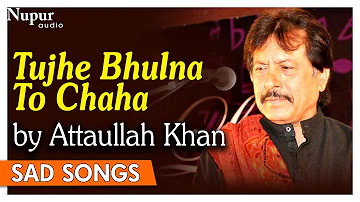 Tujhe Bhulna To Chaha Lekin Bhula Na Paye | Attaullah Khan Sad Songs | Dard Bhare Geet | Nupur Audio