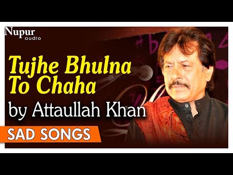 Tujhe Bhulna To Chaha Lekin Bhula Na Paye | Attaullah Khan Sad Songs | Dard Bhare Geet | Nupur Audio