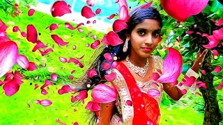 Pookkalae Sattru Oyivedungal Jarshika