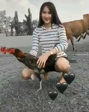 Story Wa Botoh Cantik.
