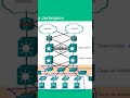 Hierarchical Network Design - Cisco CCNA 200 301 #1