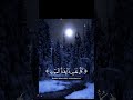 كل نفس ذائقه الموت القارئ شريف مصطفى
