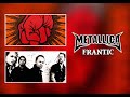 Metallica - Frantic (instrumental)