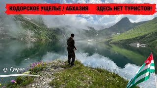 Кодорское ущелье 🌄 Абхазия Забрались туда где туристов нет! Форелевая рыбалка на озере Гуарап .