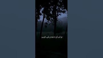 ايات من سورة الفتح بصوت الشيخ ياسر الدوسري 🌺 #اكسبلور