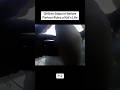 Officer Steps In Before Partner Ruins a Kid's Life #bodycam #police #cops #ewubodycrime #update