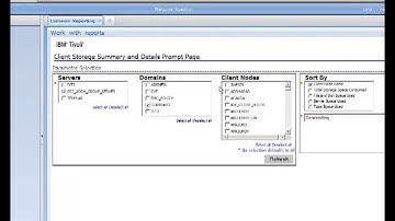 IBM Tivoli Monitoring for TSM Client Reports