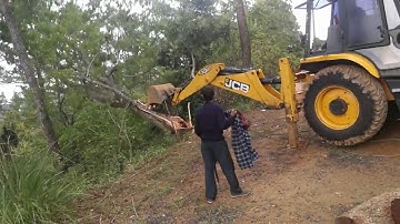 jcb helping men cut down a tree ## jcb vs big tree
