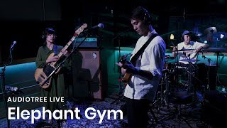 Video thumbnail of "Elephant Gym - Underwater | Audiotree Live"