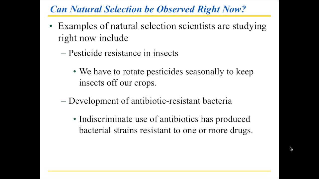 Chapter 13 Part 3 Natural Selection - YouTube