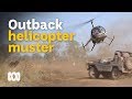 Helicopter mustering feral buffalo in outback Australia 🐃🚁🤠 | Wild Rides Ep 1 | ABC Australia