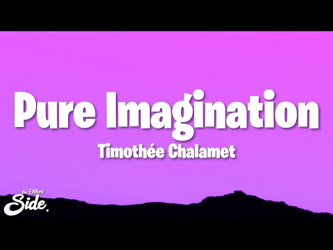 Timothée Chalamet - Pure Imagination (Lyrics) from Wonka
