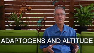 Adaptogens and Altitude