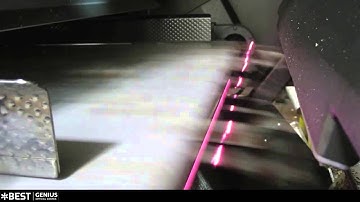 Mushroom sorting machine Genius - TOMRA Sorting