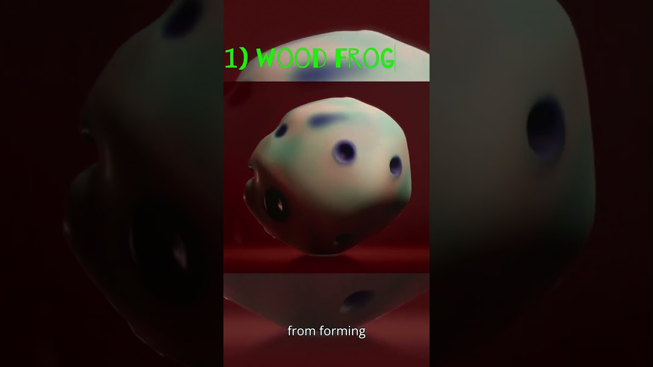 Animals that can survive that most extreme conditions | Part 1 | 