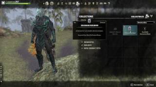 Eso Colovian Fur Hat And Nordics Bather Towel Showcase