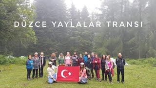 DÜZCE YAYLALAR TRANSI - 3 -