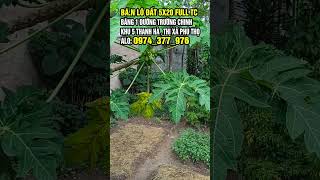 Bá.n Lô Đất Băng 1 Đường Trường Chinh Thị Xã Phú Thọ Cách Ngân Hàng Thanh Hà 200M