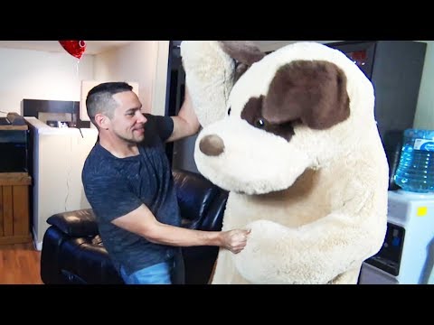 stuffed-animal-anniversary-revenge-prank-on-wife