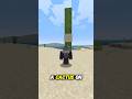 Cactus Facts - One Fun Fact About Every Item In Minecraft
