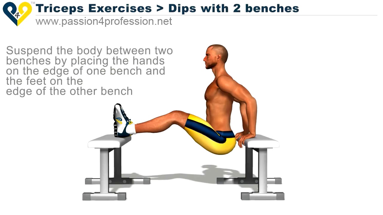 Triceps Exercises Dips 2 Benches Youtube