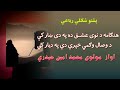 پشتو نظم هنګامه د نوی عشــق ده په دی ښار کې اواز مولوی محمد امین حیدری ښکلی ترانه